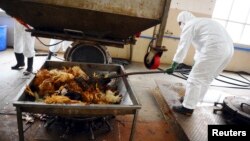 Employees dispose uninfected dead birds at a treatment plant as part of preventive measures against the H7N9 bird flu in Guangzhou, Guangdong province, April 16, 2013. 