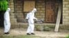 Doctor Infected With Ebola May Be Flown to US