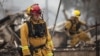 More Than 1,000 Homes Destroyed By California Wildfires