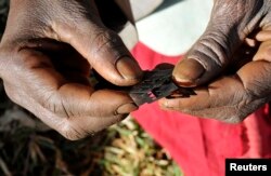 Prisca Korein, a 62-year-old traditional surgeon, holds razor blades before carrying out female genital mutilation on teenage girls from the Sebei tribe in Bukwa district, December 15, 2008.