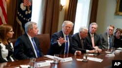 美国总统川普在2018年1月9日在白宫内阁室与国会议员会面讨论移民政策。