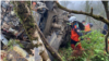台湾军方一架美制黑鹰直升机失事造成8人遇难