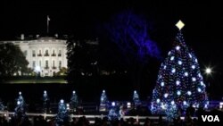 Pohon Natal nasional resmi dinyalakan di Gedung Putih hari Kamis (1/12).