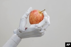 FILE - Hanson Robotics' robot Sophia holds an apple in Hong Kong, Sept. 28, 2017.