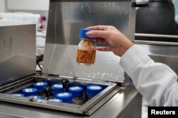 A bottle with wood from quillay tree, or Soapbark tree (Quillaja saponaria), which are native to Chile and contain a substance that can be used in coronavirus disease (COVID-19) vaccines, is shown in a laboratory at a nursery operated by U.S.-based Desert King International.
