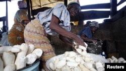 FILE - Women work in a cassava grinding mill in Nigeria, Nov. 19, 2009. Nigeria, an example of success for other African countries, produces about 20 percent of the world's cassava.
