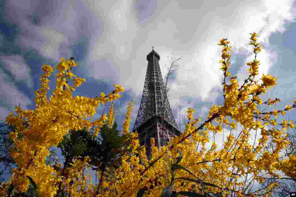 The Eiffel Tower is seen behind blossoming flowers and trees in Paris, France.