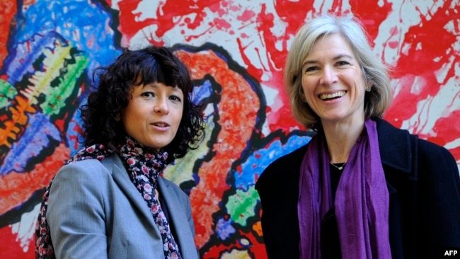 (FILE) This file photo taken on October 21, 2015 shows French researcher in Microbiology, Genetics and Biochemistry Emmanuelle Charpentier (L) and US professor of Chemistry and of Molecular and Cell Biology, Jennifer Doudna. (Photo by Miguel RIOPA / AFP)
