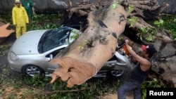 A worker uses an electric saw to remove a huge tree that fell on top of a car during the onslaught of Typhoon Rammasun, (locally named Glenda) that hit Makati city in Manila, July 16, 2014. 