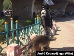 La police a quadrillé la ville pour empêcher une manifestation à N'Djamena, le 25 janvier 2018. (VOA/André Kodmadjingar)