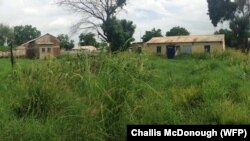 Shrubbery has overtaken parts of the South Sudan town of Malakal that used to be bustling with activity.