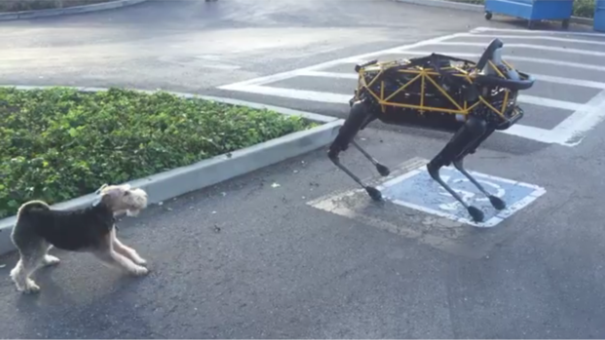 Real 2024 dog robot