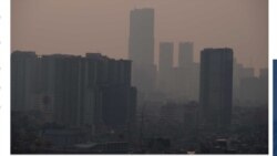 Quiz - Air Pollution May Affect Every Organ, Cell in the Body