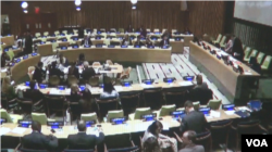 联合国大会6月9日举行高级别会议，讨论联合国发展目标 （视频截图）