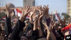 Anti-government protesters celebrating in Tahrir Square in downtown Cairo, Egypt , February 12, 2011