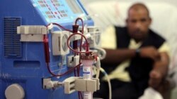 Hỏi đáp Y học: Lọc máu và vô niệu (Dialysis and anuria)