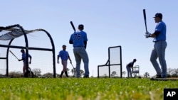 Members of the Tampa Bay Rays take batting practice during a spring training baseball workout in Port Charlotte, Florida, Feb. 26, 2016. 