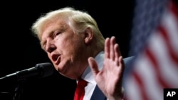 FILE - President-elect Donald Trump speaks in Hershey, Pa., Nov. 4, 2016. 