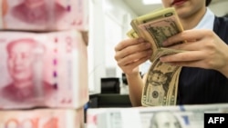 中國江蘇南通一家銀行的工作人員正在人民幣旁點數美元。 (2019年8月6日)