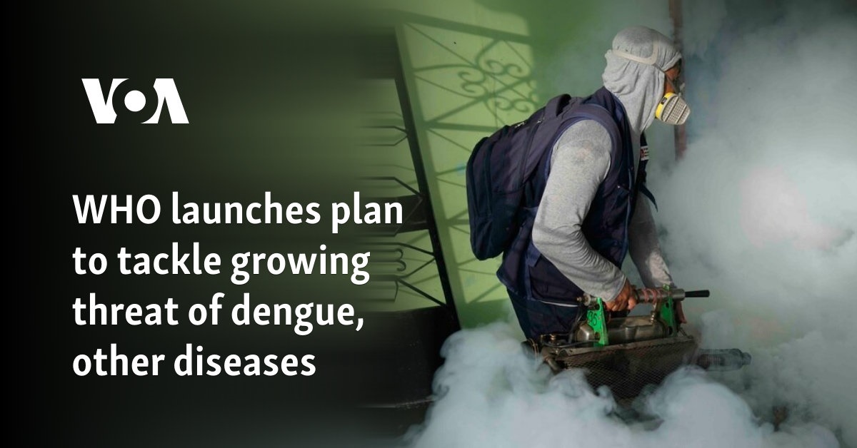 WHO launches plan to tackle growing threat of dengue, other diseases