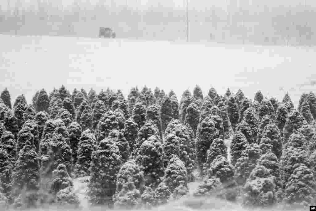 A lone Jeep travels away from a tree farm in Blair, Nebraska, Feb. 24, 2017. 