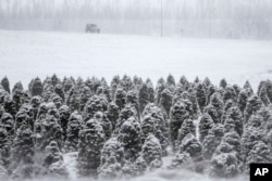 FILE - A lone Jeep travels away from a tree farm in Blair, Nebraska, Feb. 24, 2017.