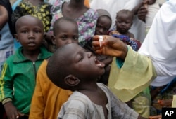 FILE - A health official administers a polio vaccine to children at a camp for people displaced by Islamist Extremist in Maiduguri, Nigeria, Aug. 28, 2016.