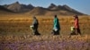 بحران آب در ایران؛ سرزمین خشک و هراس از تغییر ساختار در شیوه سنتی کشاورزی