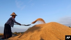 Myanmar Daily Life