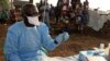Les maladies transmises par les animaux explosent en Afrique, selon l'OMS