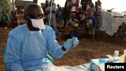 ARCHIVES - L'écologiste James Koninga travaille sur la fièvre de Lassa dans le village de Jormu, dans le sud-est de la Sierra Leone, le 8 février 2011. Selon l'OMS, le virus de Lassa est transmis aux humains par des rats infectés.