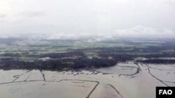 ရေဘေးကြောင့် လယ်ယာ စိုက်ပျိုးရေးလုပ်ငန်းတွေကို အကြီးအကျယ်ထိခိုက်မှုရှိ(ဓါတ်ပုံ FAO/ Bui Thi Lan)