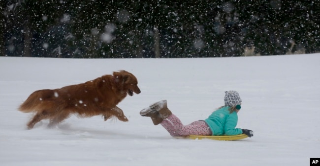 Una niña juega con su perro en la nieve en el estado de Carolina del Sur. Enero 3 de 2017.