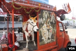 A special "rath" or chariot-car of a Hindu group campaigning against cow slaughter for Eid is seen in Kolkata, October 6, 2014. (Photo by - Shaikh Azizur Rahman/VOA)