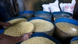 Pekerja menyiapkan kedelai dalam proses pembuatan tempe di salah satu tempat produksi rumahan di Jakarta, pada 18 Januari 2008. (Foto: Reuters/Enny Nuraheni)