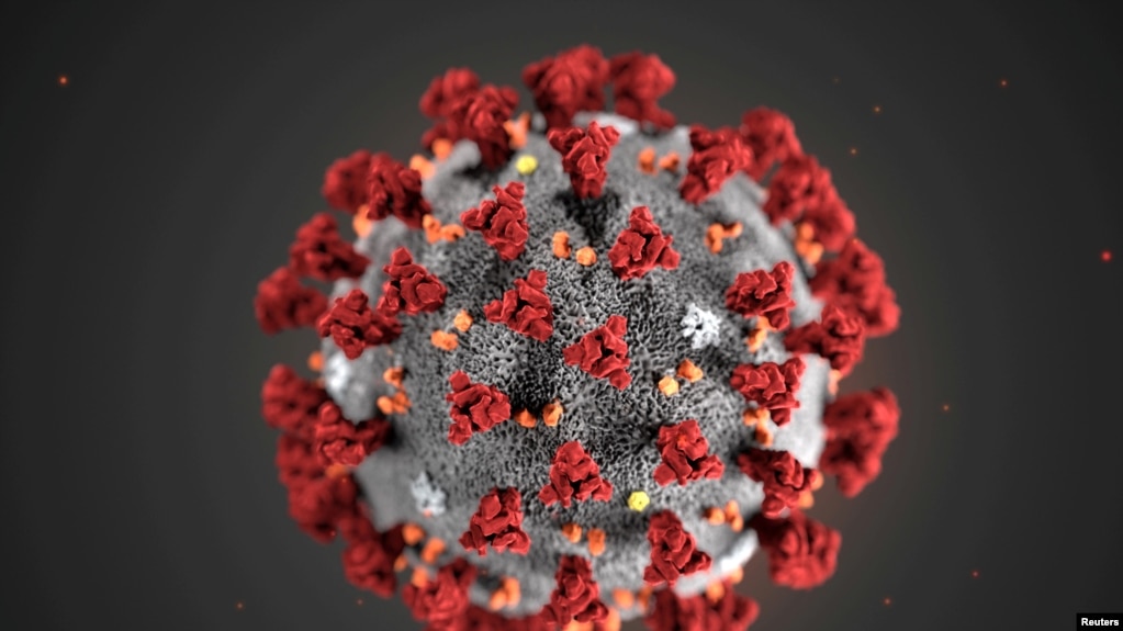 ပံုႀကီးခ်ဲ႕ထားေသာ 2019 Novel Coronavirus (2019-nCoV) ပိုးပံု။ (TPX IMAGES OF THE DAY - RC2WPE9B0G2T)