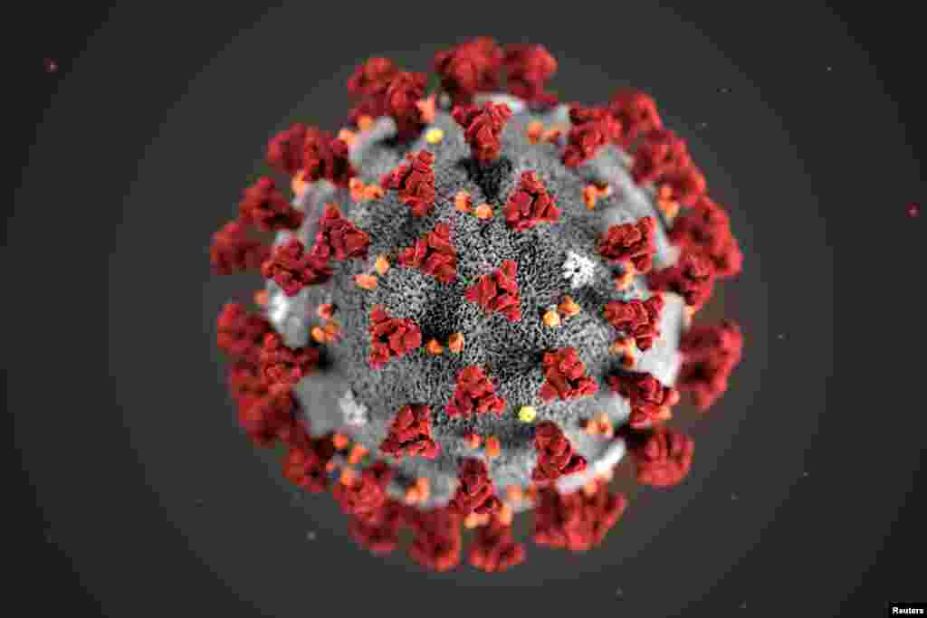 The ultrastructural morphology shown by the 2019 Novel Coronavirus (2019-nCoV), which was identified as the cause of an outbreak of respiratory illness first detected in Wuhan, China, is seen in an image released by the U.S. Centers for Disease Control in Atlanta, Georgia, Jan. 29, 2020.