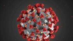 Coronavirus ပိုး ကမ္ဘာ့ကျန်းမာရေး အရေးအပေါ်အခြေအနေအဖြစ် WHO ကြေညာလိုက်ပြီ