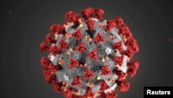 ပုံကြီးချဲ့ထားသော 2019 Novel Coronavirus (2019-nCoV) ပိုးပုံ။ (TPX IMAGES OF THE DAY - RC2WPE9B0G2T)