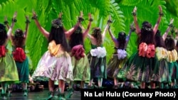 Dancers wear traditional dress in Hula for the Goddess.