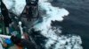 日本呼吁荷兰对反捕鲸船采取行动