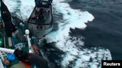 Kapal milik organisasi Sea Shepherd, 'The Bob Barker', bertabrakan dengan kapal pemburu paus Jepang Yushin Maru (2/2).
