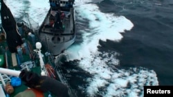 Sea Shepherd vessel 'The Bob Barker' is pictured in contact with the port side stern of Japanese whaling ship Yushin Maru in the Southern Ocean, Feb. 2, 2014.