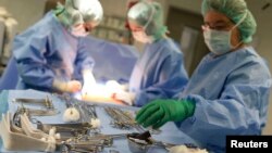 Des chirurgiens de l'hôpital d'Hambourg ouvrent l'abdomen d'un patient lors d'une opération du foie, le 15 août 2013. 