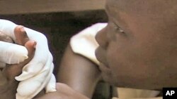A pilot program established by the Carter Center in 2008 helped to curb the spread of malaria by donating insecticide treated nets for beds and microscopes to diagnose malaria samples