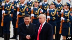 Chủ tịch Trung Quốc Tập Cận Bình nghênh đón Tổng thống Mỹ Donald Trump tại Đại Lễ Đường Nhân Dân ở Bắc Kinh vào ngày 9/11/2017. 