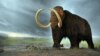 นักวิทยาศาสตร์จะใช้เทคนิควิศวพันธุกรรมเปลี่ยนช้างให้เป็นช้างดึกดำบรรพ์ที่สูญพันธุ์ไปแล้ว