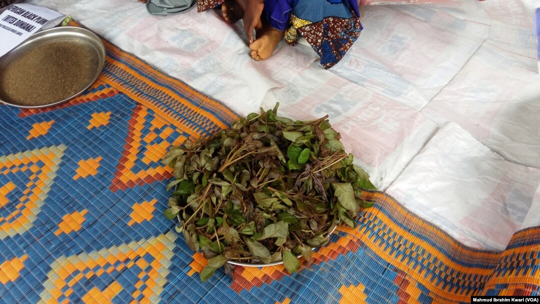 Ganyen Dinya