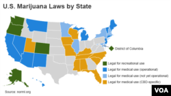 U.S. Marijuana Laws by State