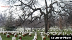 Arlington National Cemetary